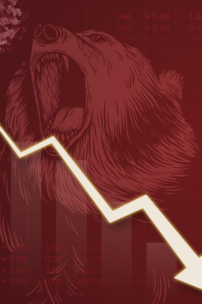 Bear Market photo